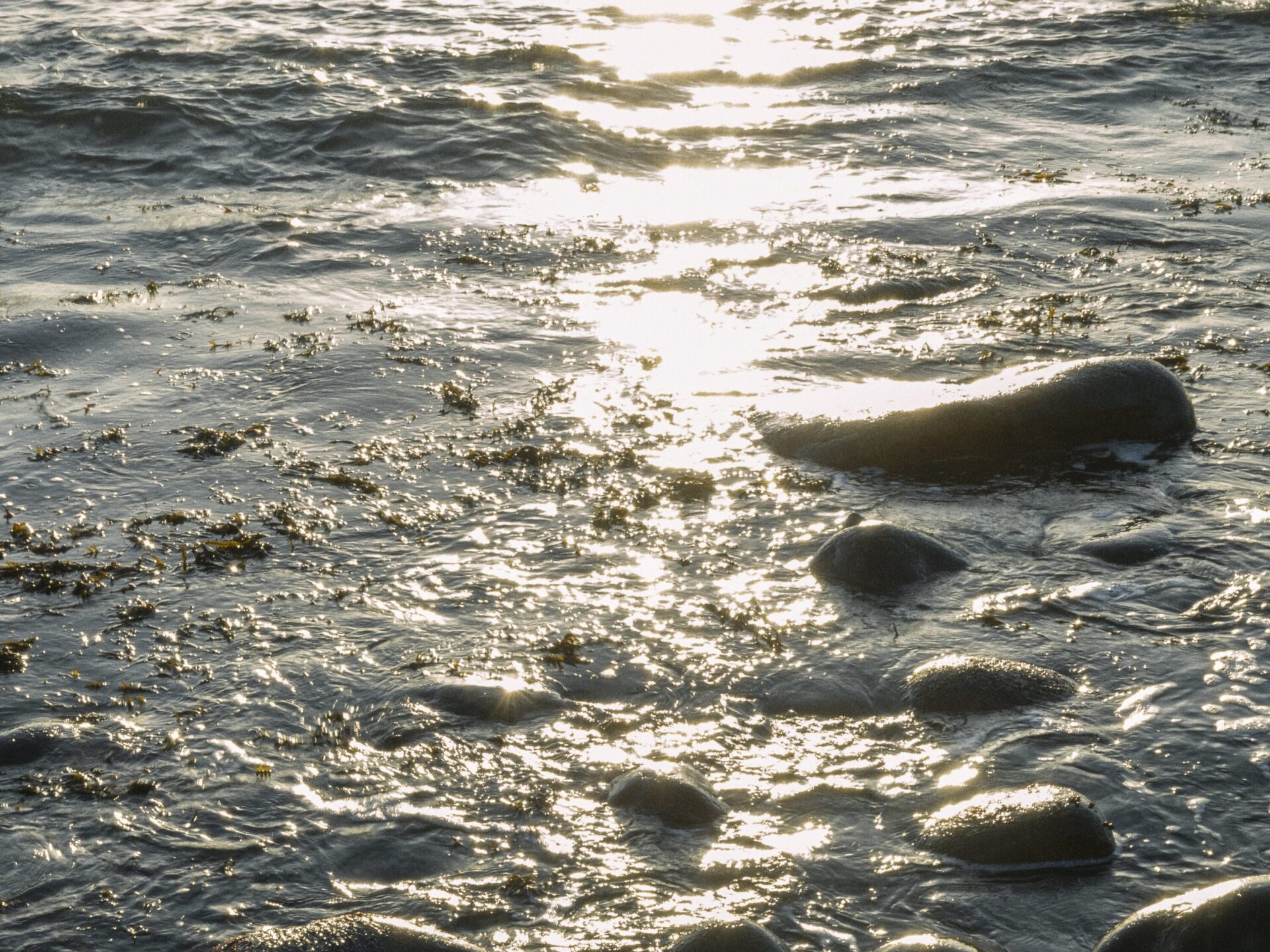 sjo-scaled-aspect-ratio-4-3