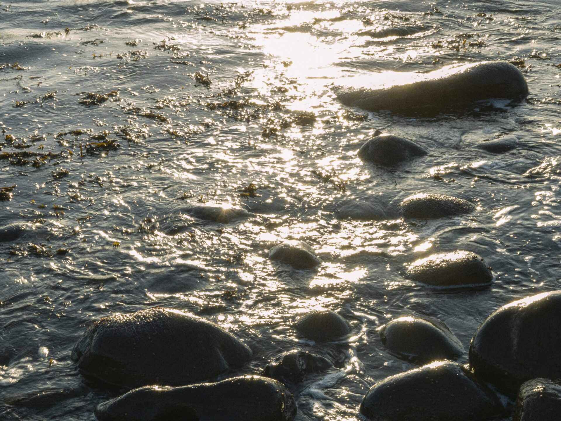 sjo-scaled-aspect-ratio-4-3